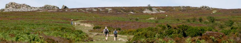 The Sprosons at the Stiperstones